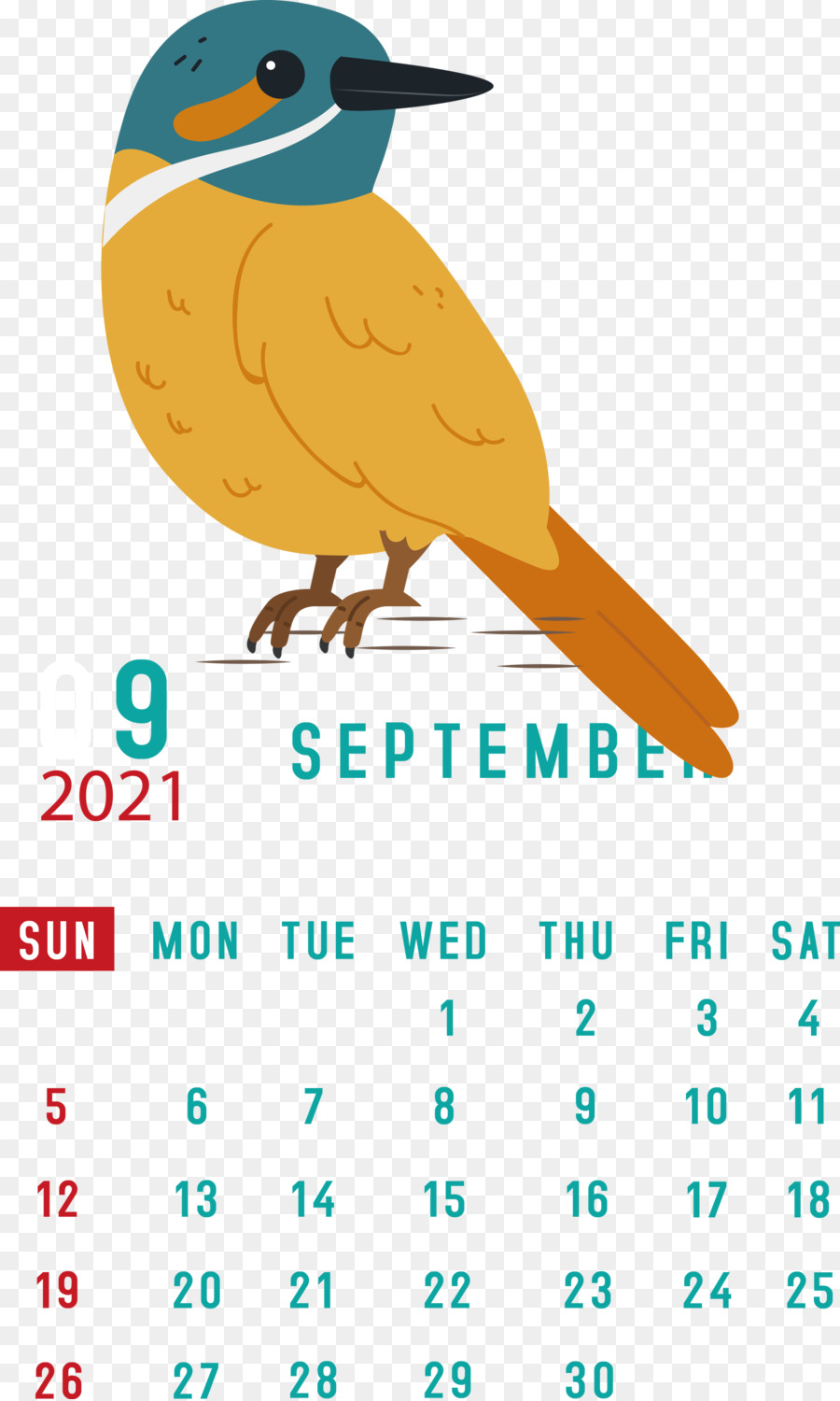 Calendario Septiembre，Pájaro PNG