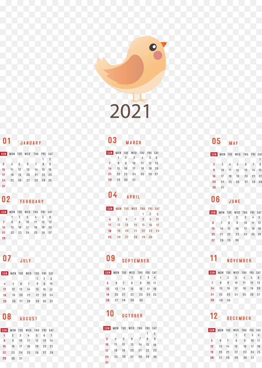 Sistema De Calendario，Medidor De PNG