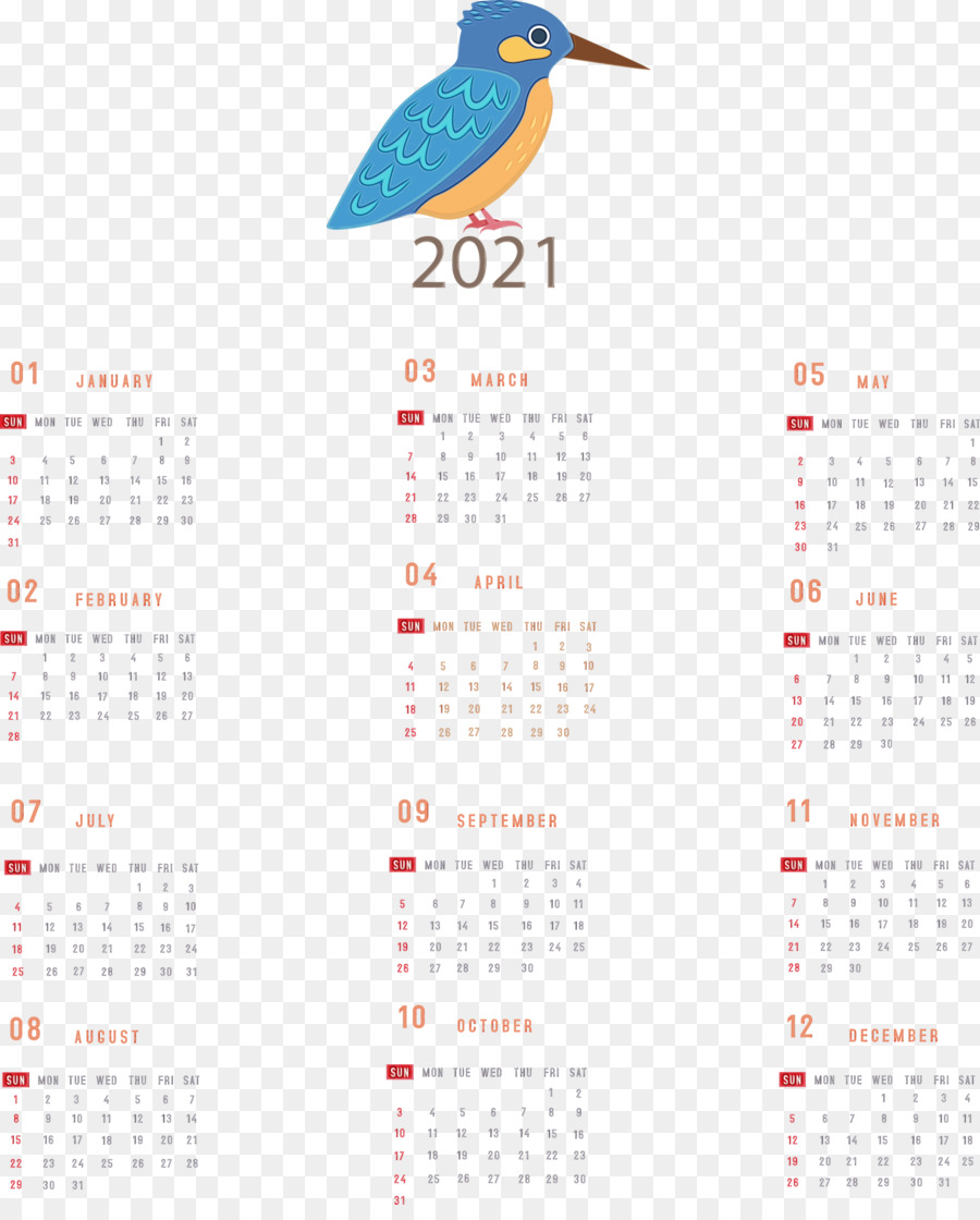 Medidor De，Sistema De Calendario PNG