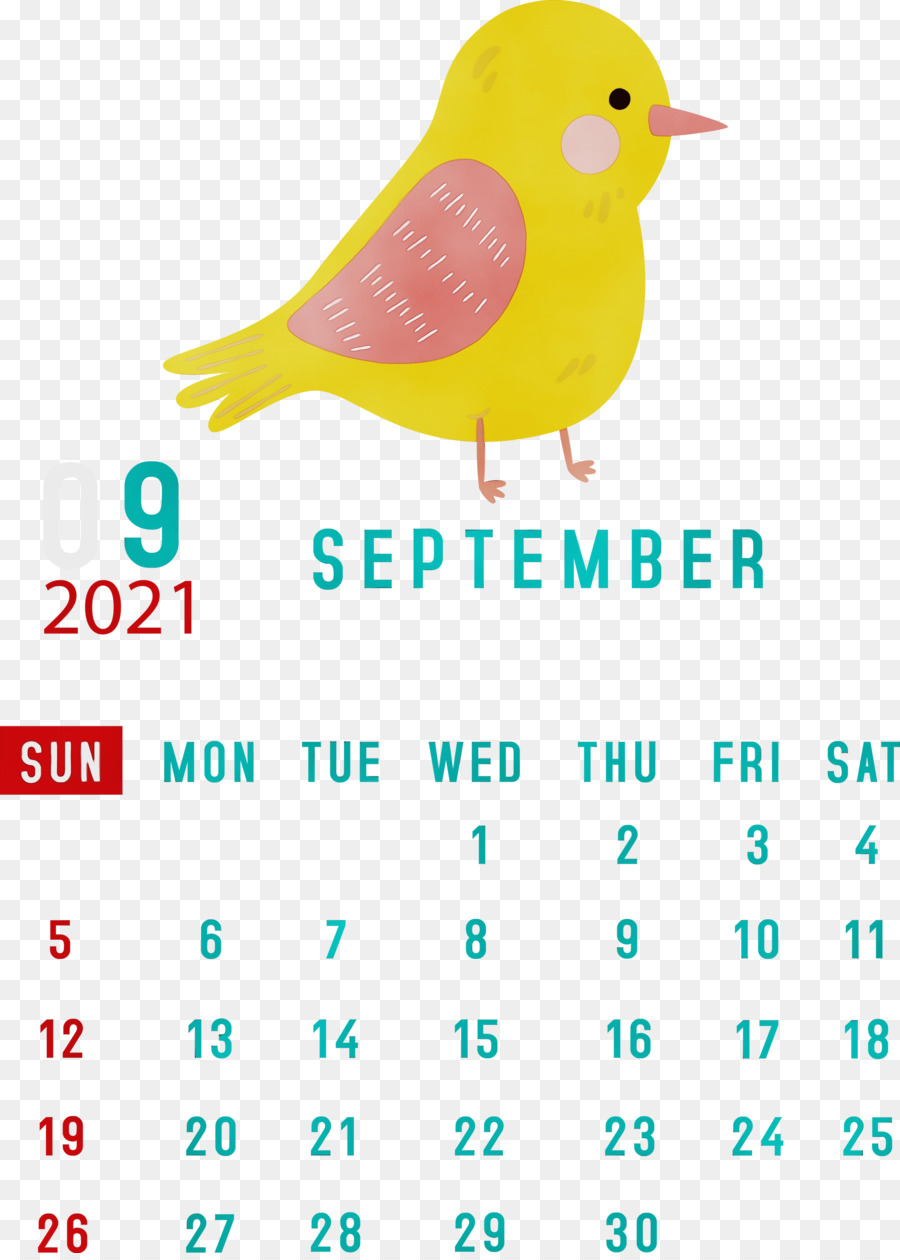 Calendario Septiembre，Pájaro PNG