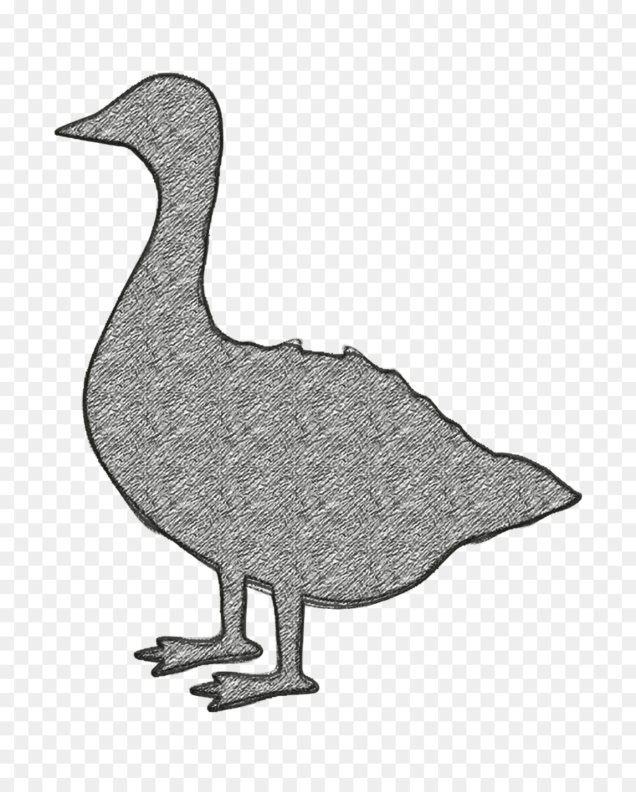 Pato，Las Aves PNG