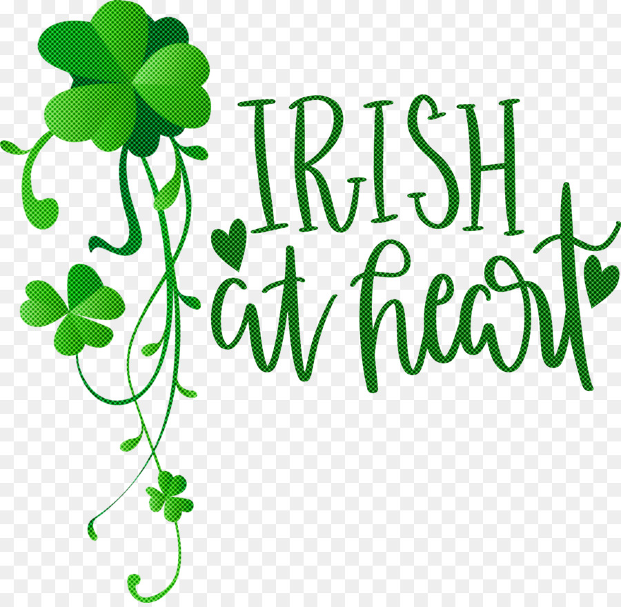 Shamrock，Trébol PNG