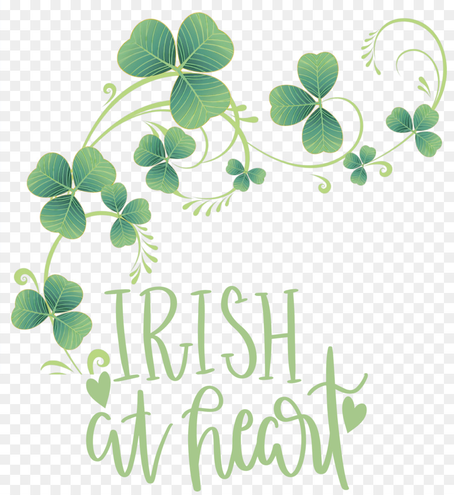 Trébol De Cuatro Hojas，Shamrock PNG