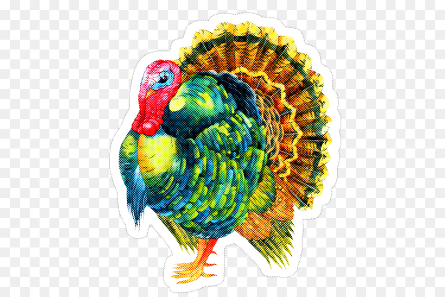 Pavo Real，Precio PNG