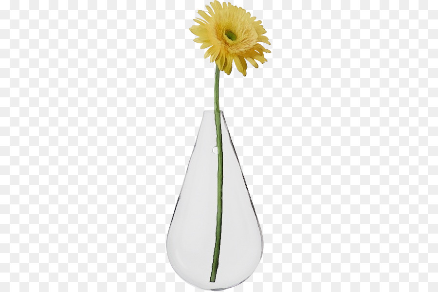 Tallo De La Planta，Florero PNG