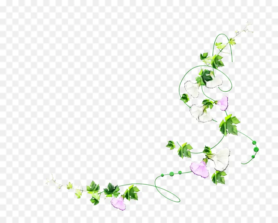 Diseño Floral，Tallo De La Planta PNG