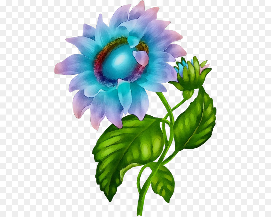 Flor，Dibujo PNG