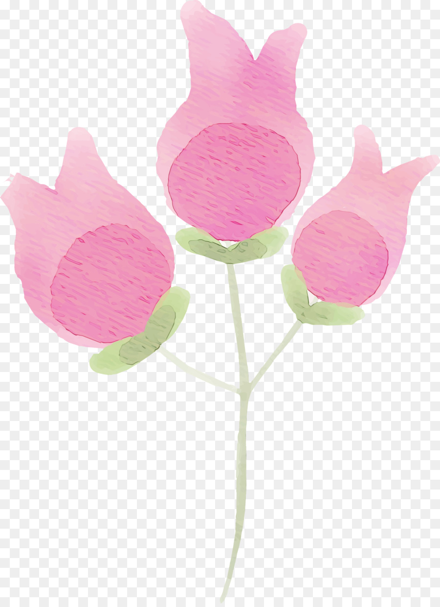 Flores Rosadas，Provenir PNG