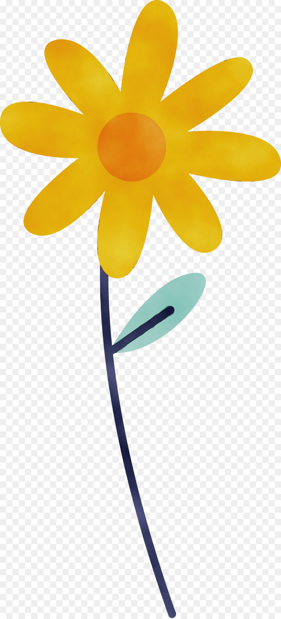 Flor，Azul PNG