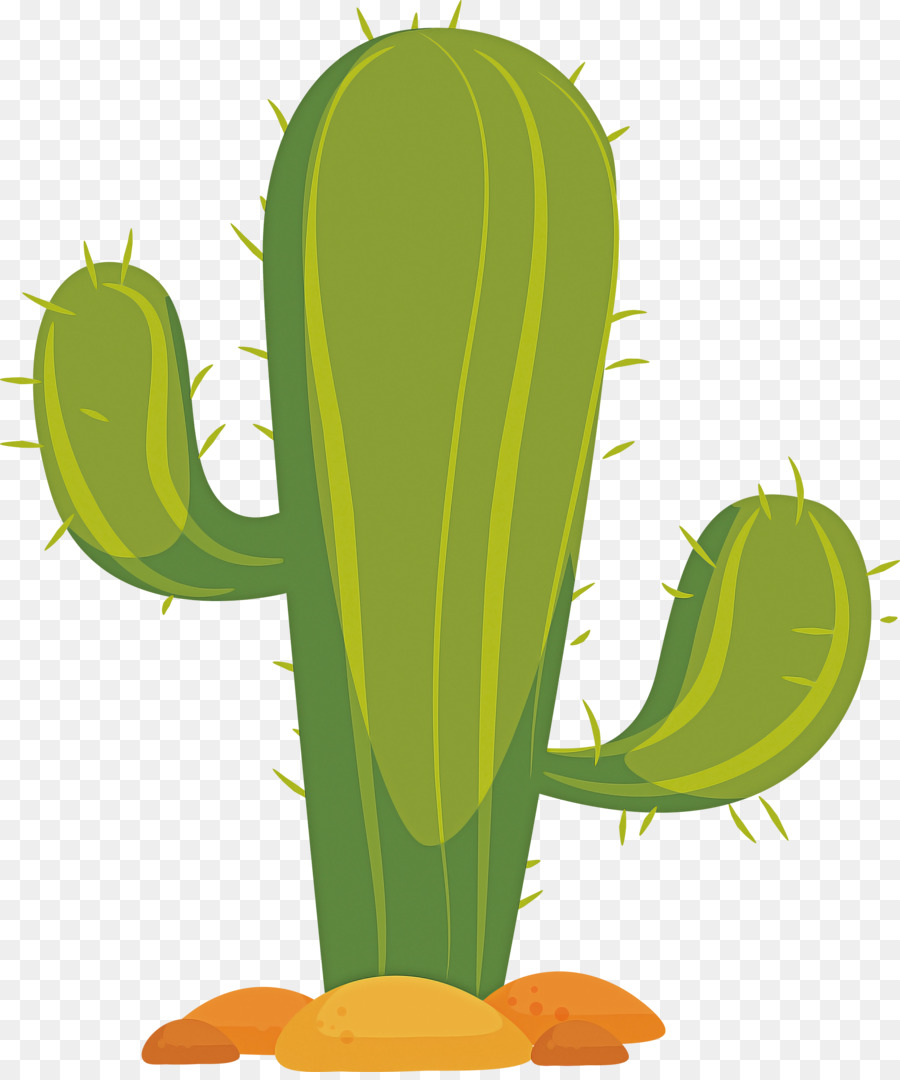 Cactus，Desierto PNG