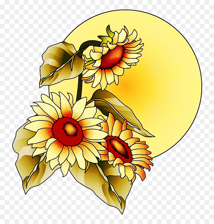 Las Flores Cortadas，Común De Girasol PNG