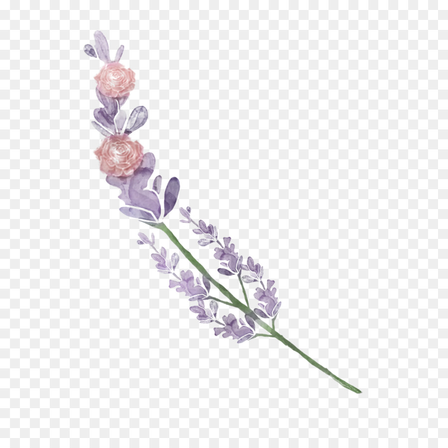 Tallo De La Planta，Lavanda PNG