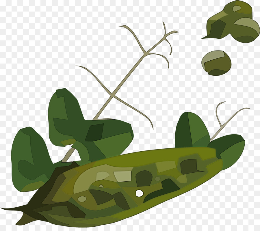 Ediblepodded Pea，De Frijol PNG