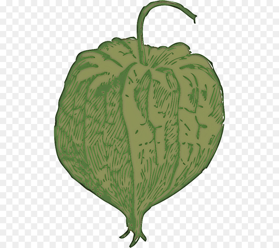 La Calabaza，Calabaza De Invierno PNG