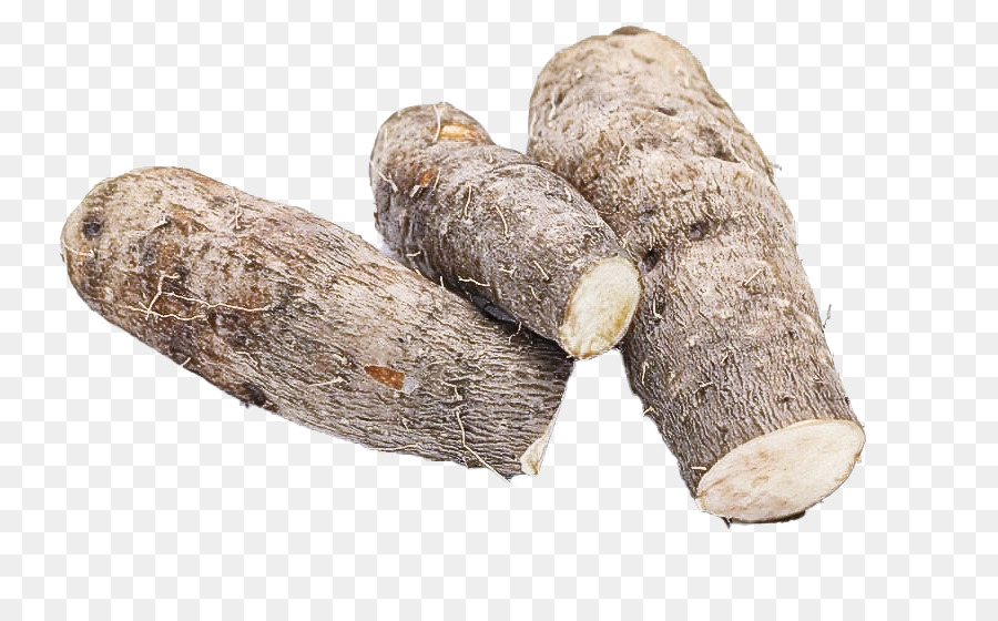 Morcilla，Tubérculo PNG