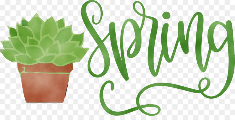 Primavera，Cactus PNG