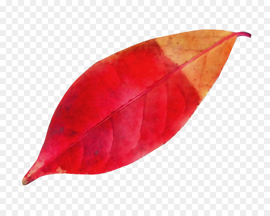 Hoja Roja，Otoño PNG