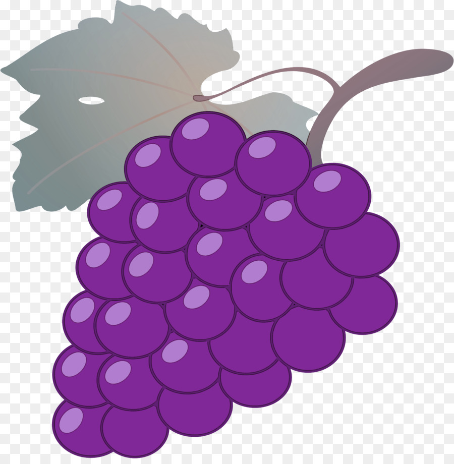 Uva，Grapevines PNG