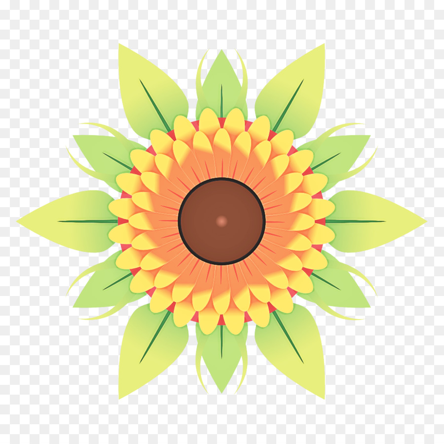 Girasol Amarillo，Planta PNG