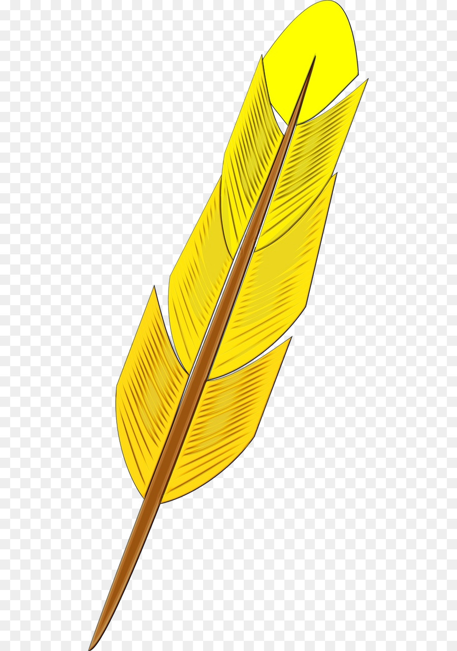 Hoja，Pluma PNG