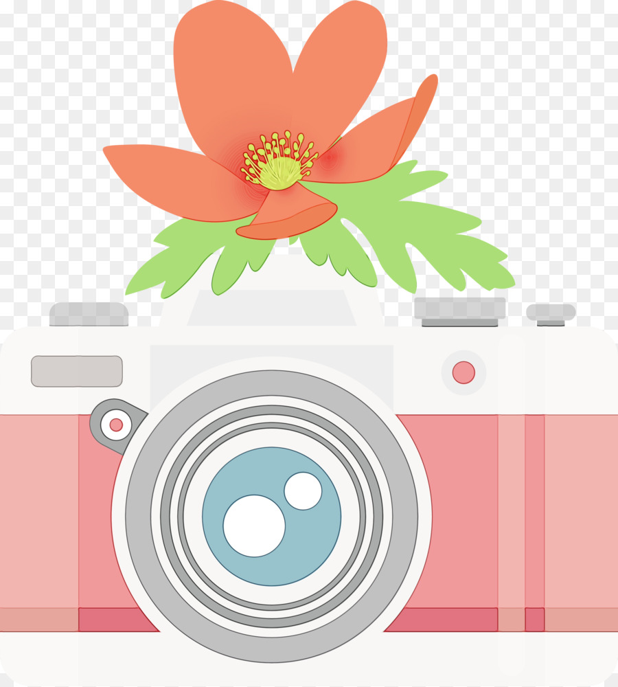 Diseño Floral，Flor PNG