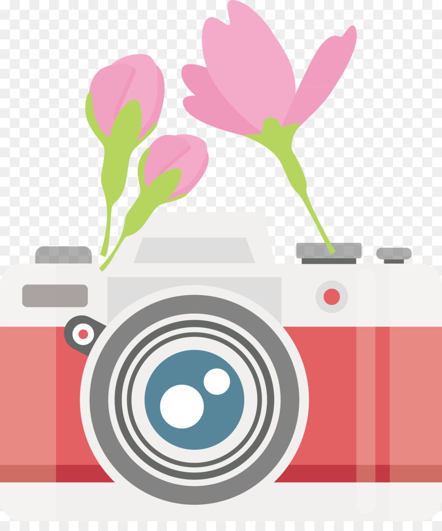 Diseño Floral，Flor PNG