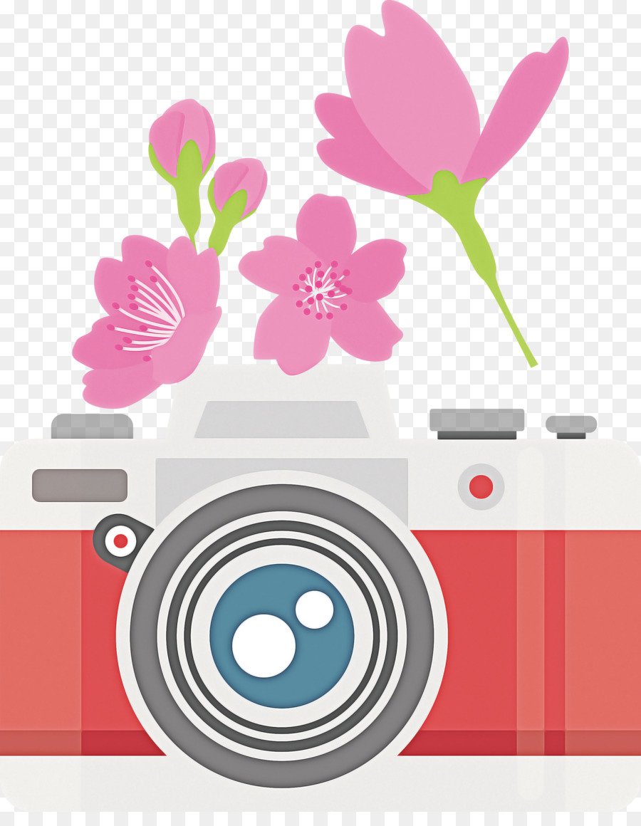 Diseño Floral，Flor PNG