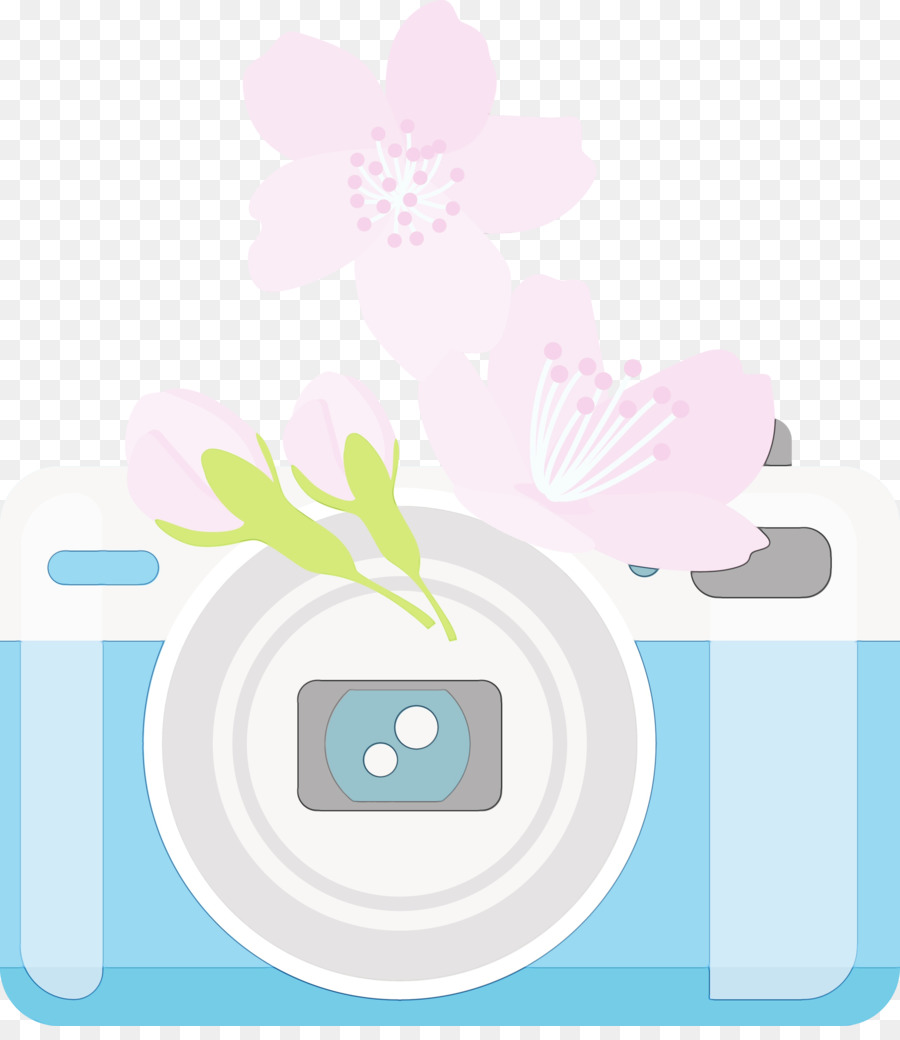 Diseño Floral，Circulo PNG