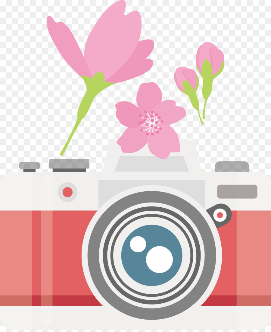 Diseño Floral，Flor PNG