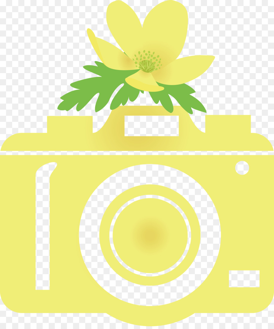 Diseño Floral，Amarillo PNG