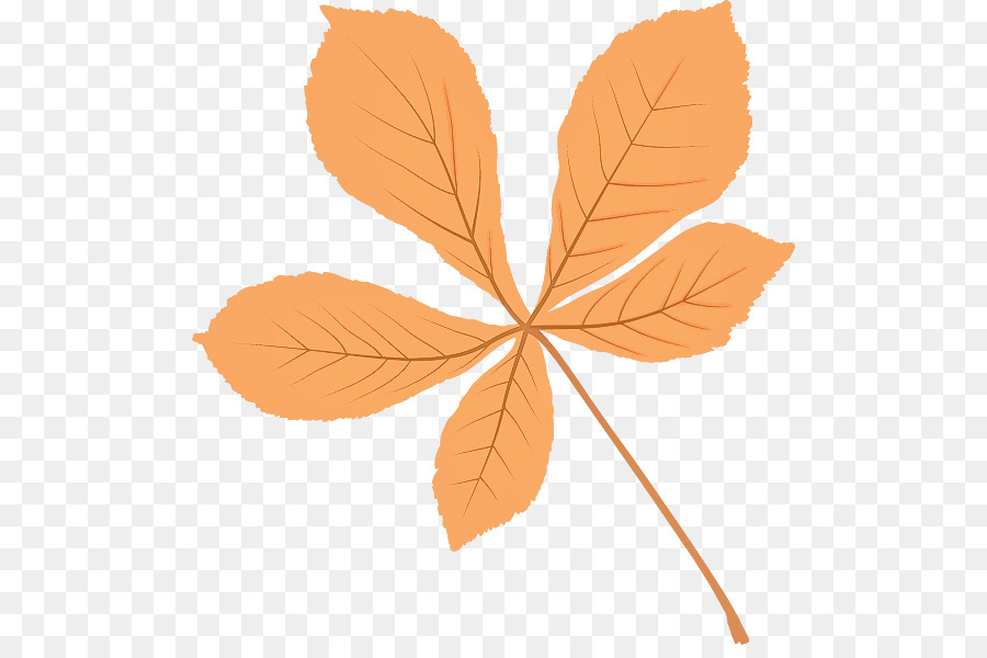 Hoja De Naranja，Otoño PNG