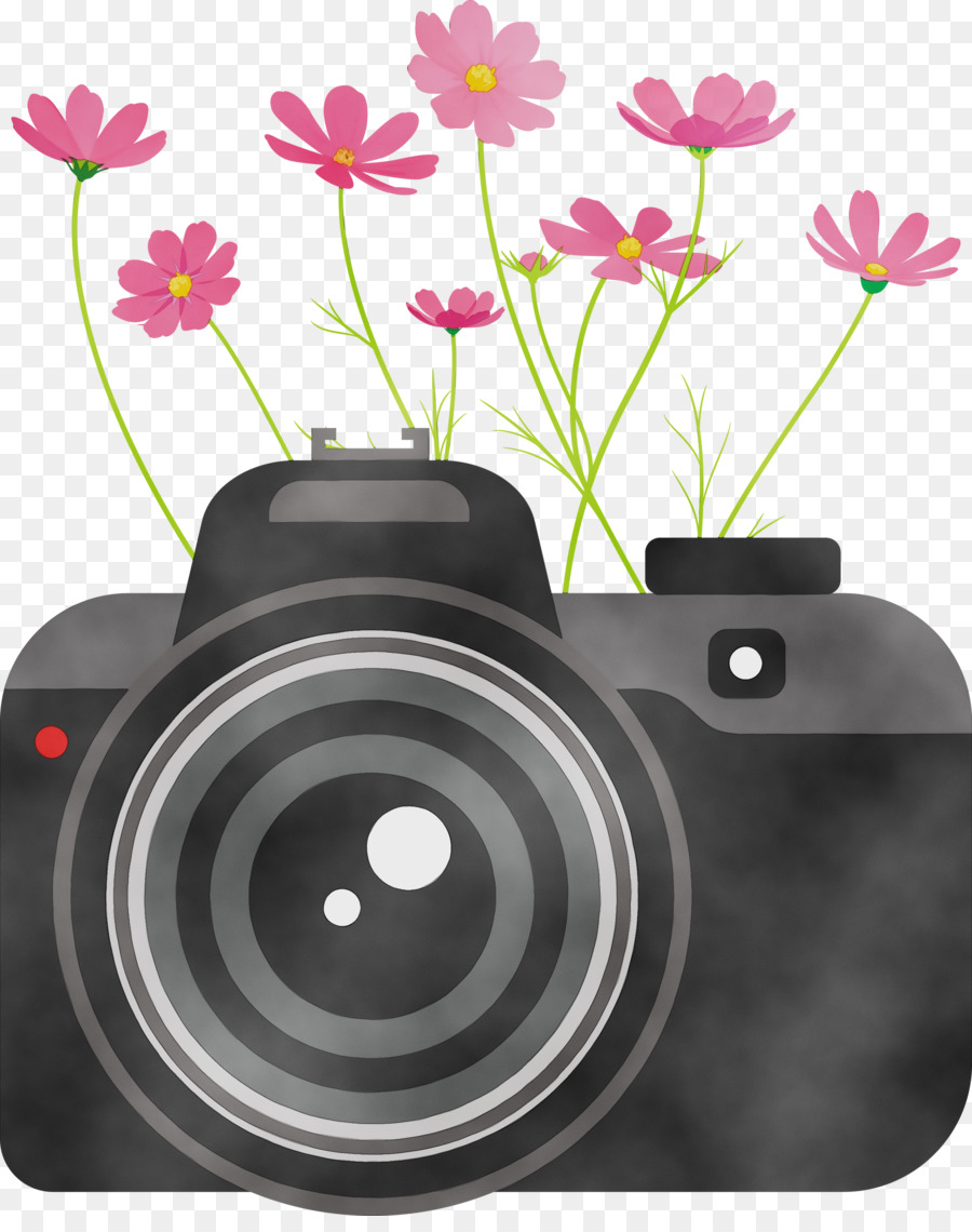 Lente De La Cámara，Cámara Digital PNG