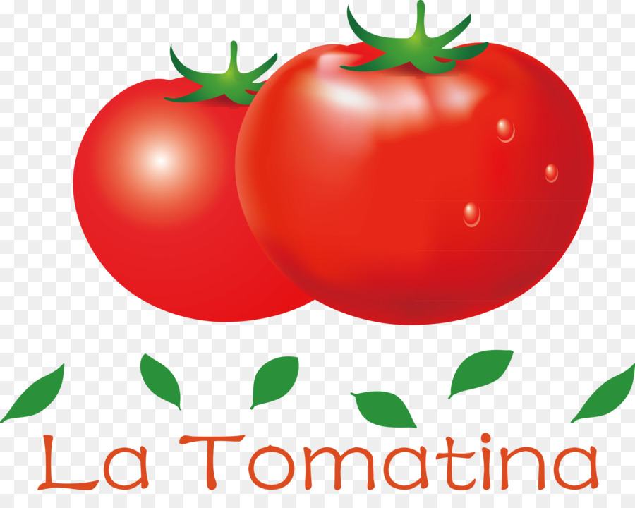 Bush Tomate，Alimentos Naturales PNG