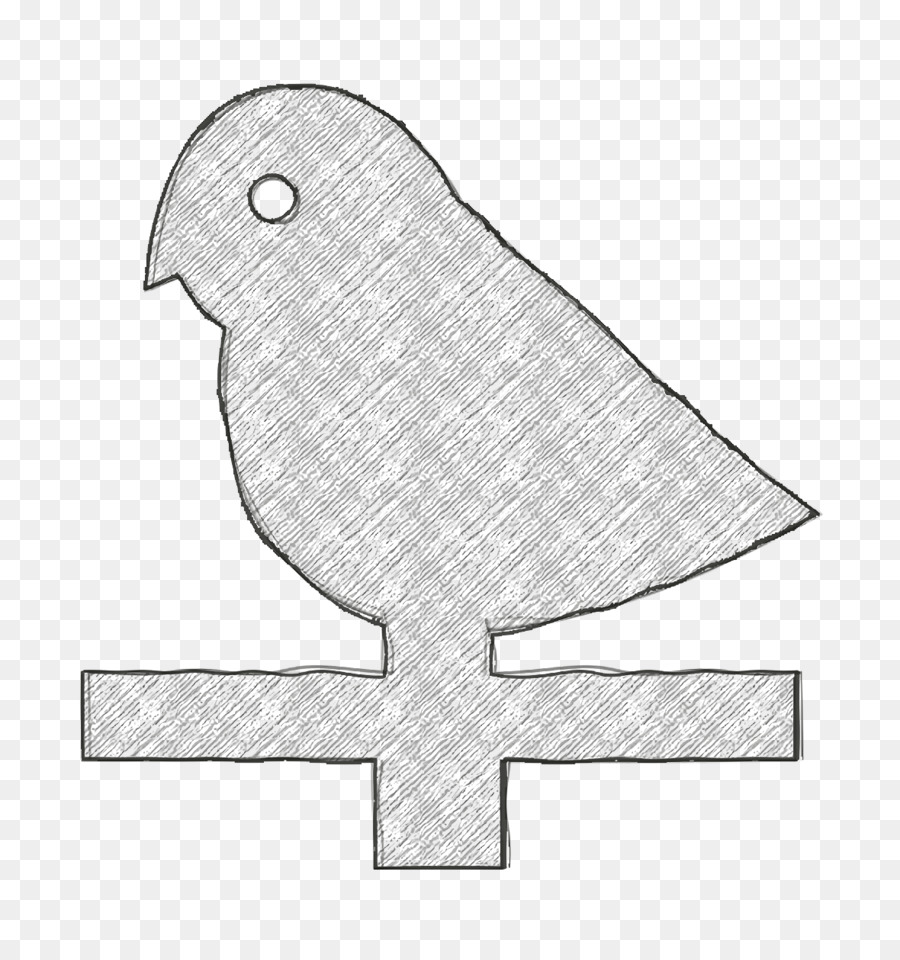 Aves，Pico PNG