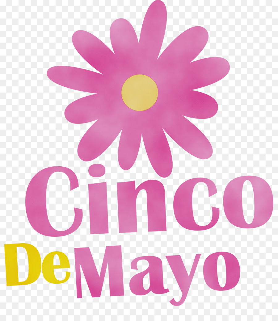 Cinco De Mayo，Celebración PNG