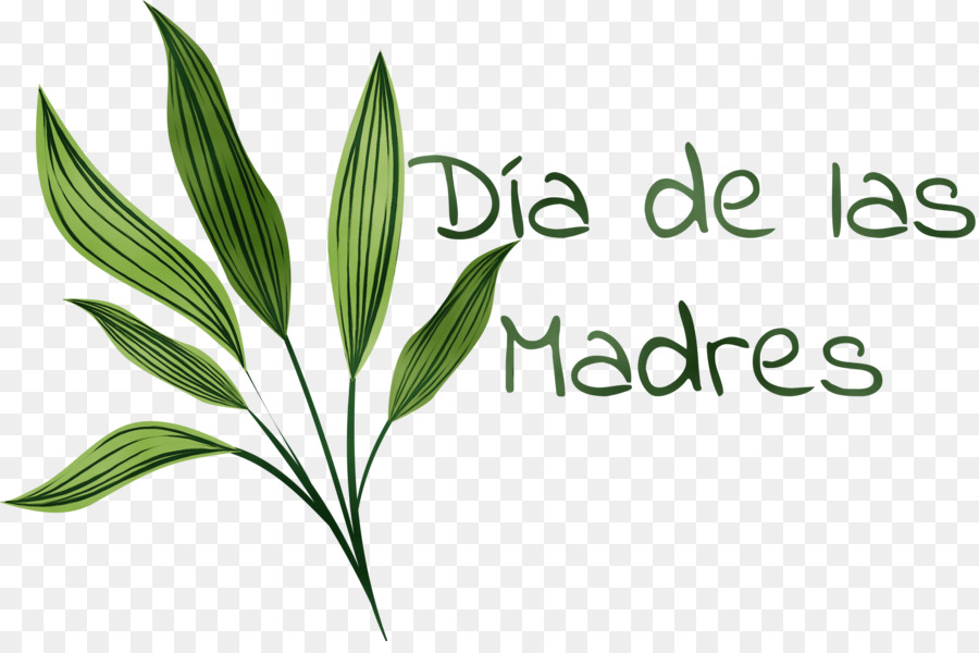 Hoja，Tallo De La Planta PNG