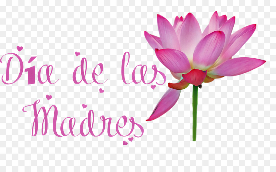 Diseño Floral，Las Flores Cortadas PNG