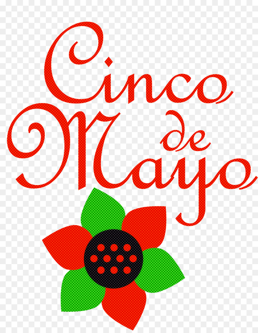 Cinco De Mayo，Celebración PNG