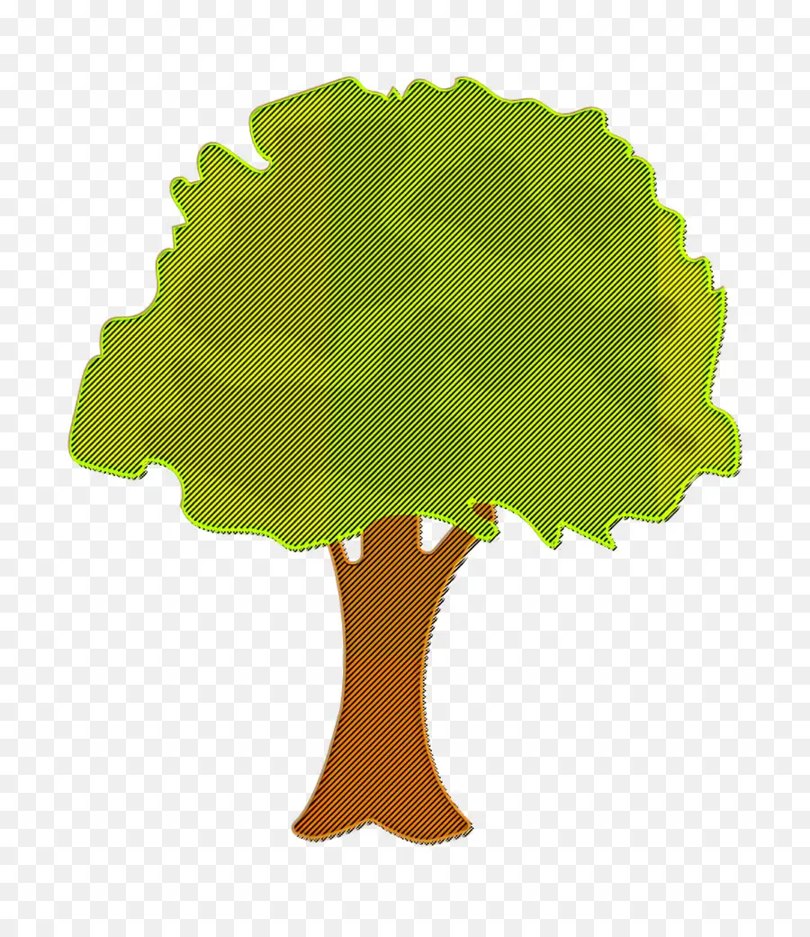 Hoja，Árbol PNG