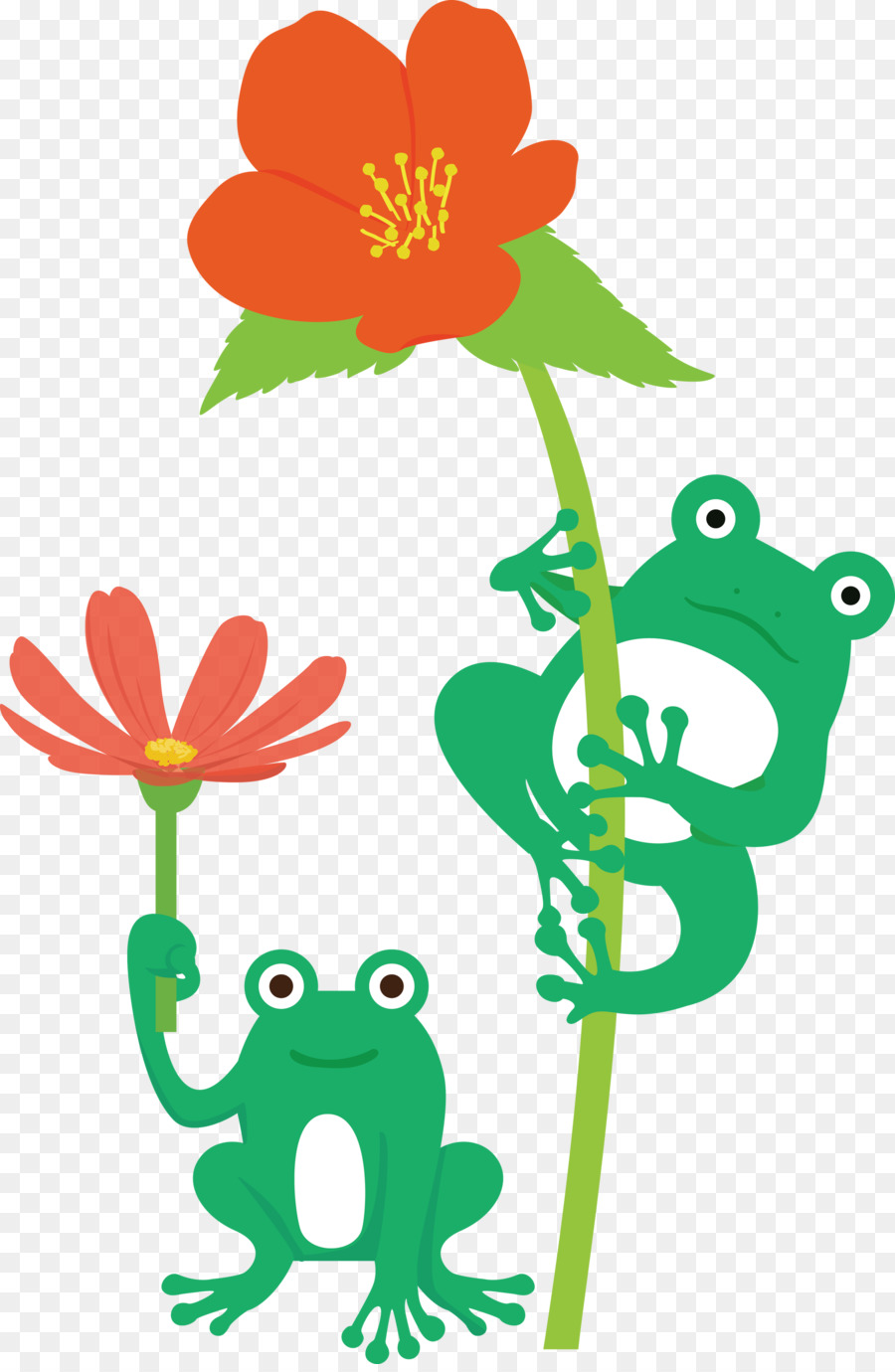 Flor，Rana De árbol PNG