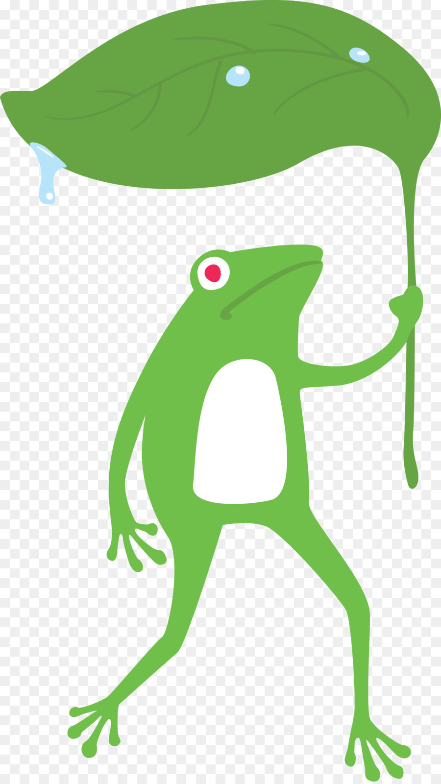 La Verdadera Rana，Sapo PNG