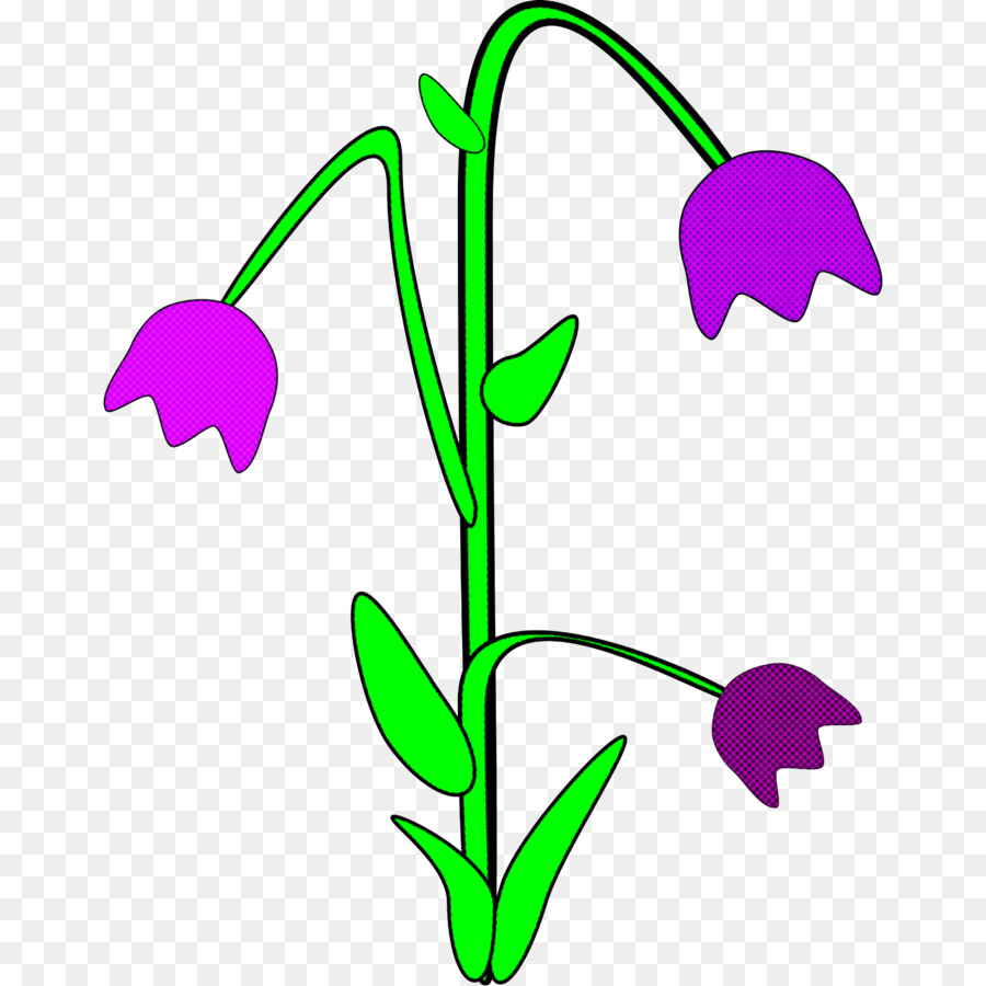 Flor，Sweet Pea PNG