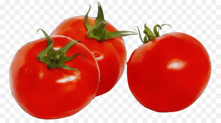 Tomates Rojos，Hojas Verdes PNG