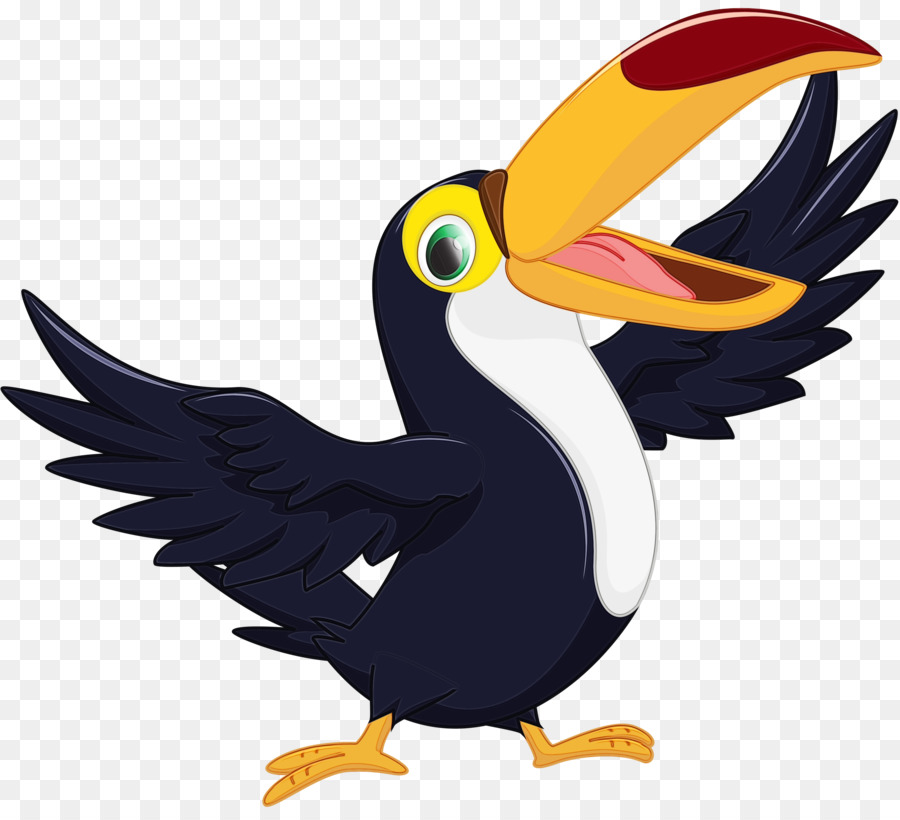 Cálao，Aves PNG