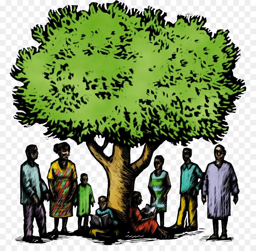 Árbol，Medidor De PNG