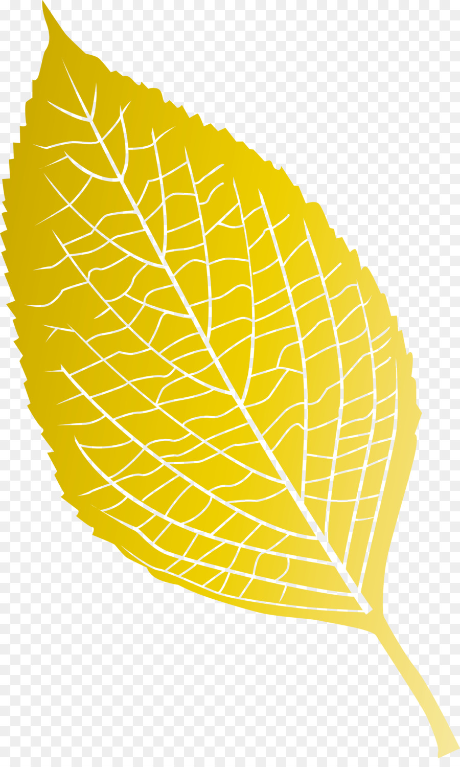 Hoja，Amarillo PNG