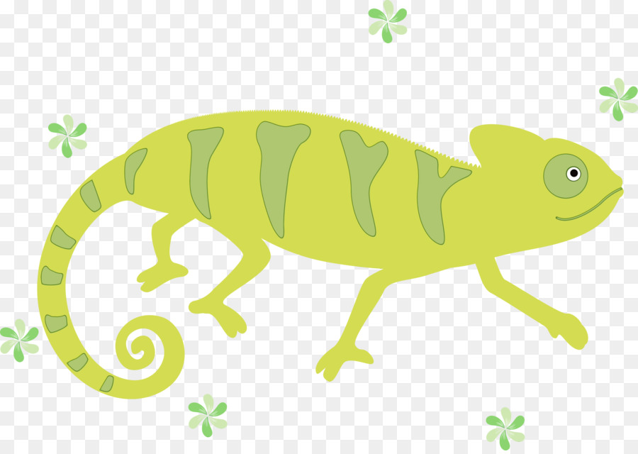 Las Ranas，Los Lagartos PNG