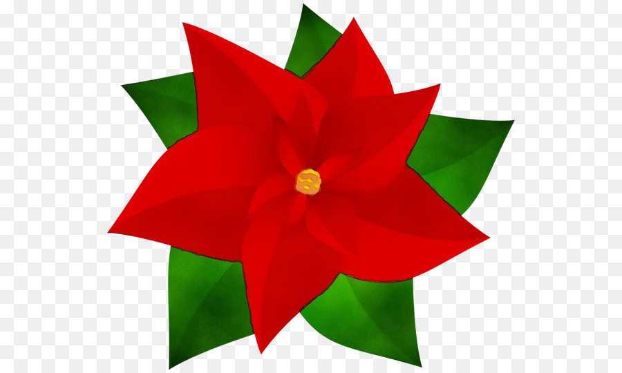 La Flor De Pascua，Christmas Day PNG