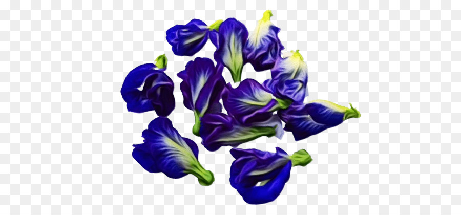 Las Flores Cortadas，Violeta PNG