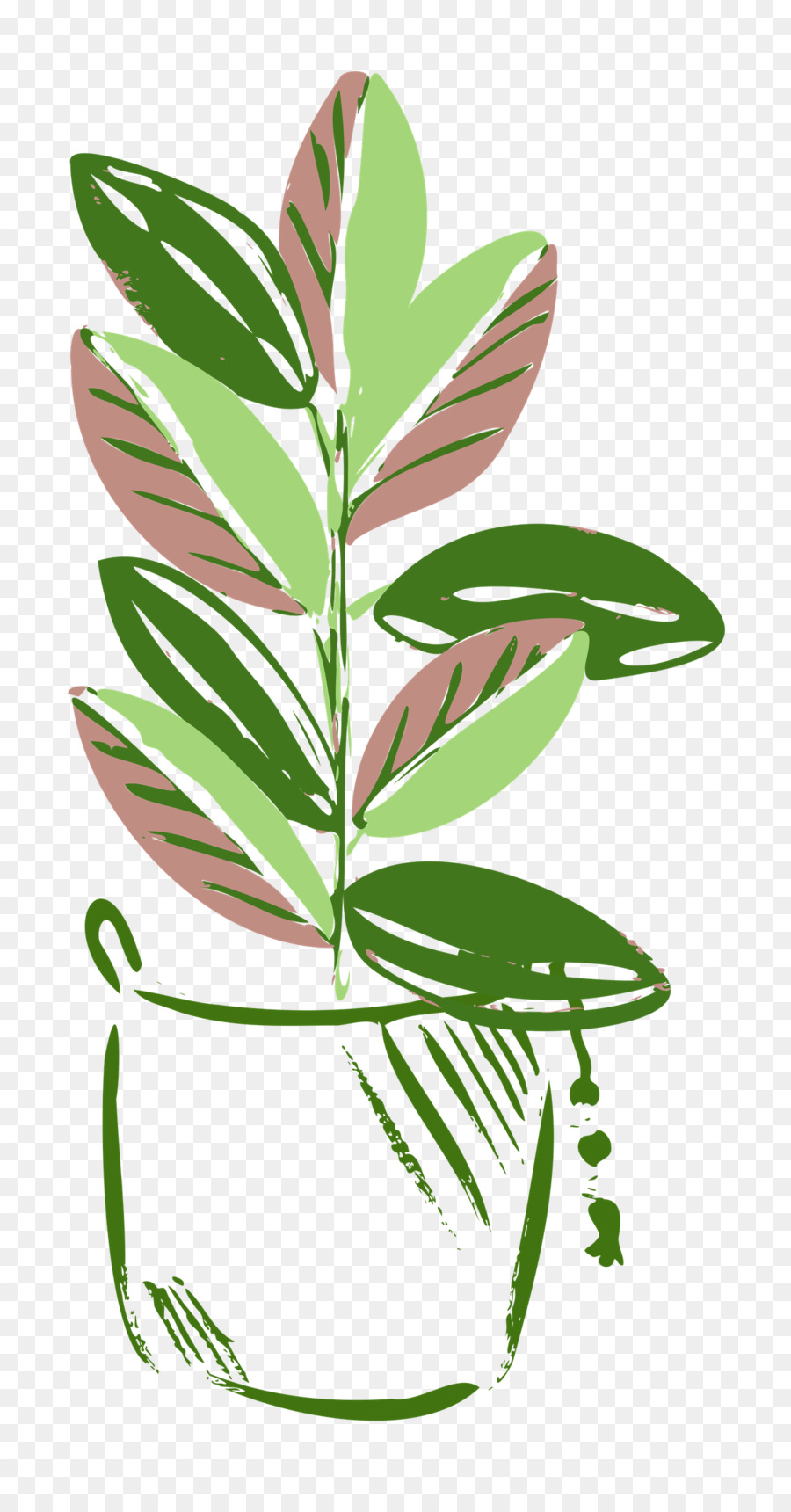 Hoja，Tallo De La Planta PNG